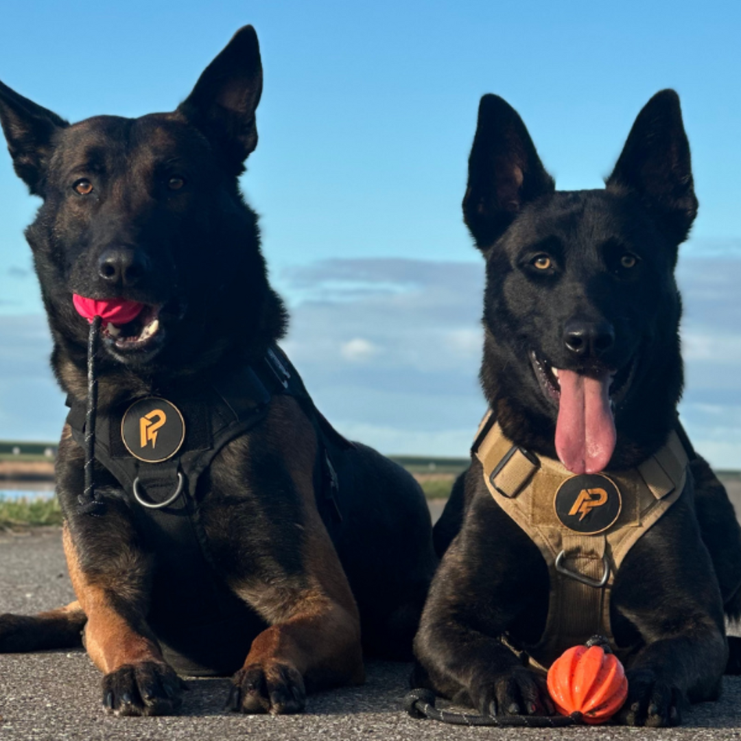 Meteor bal met touw 60mm