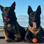 Meteor bal met touw 60mm