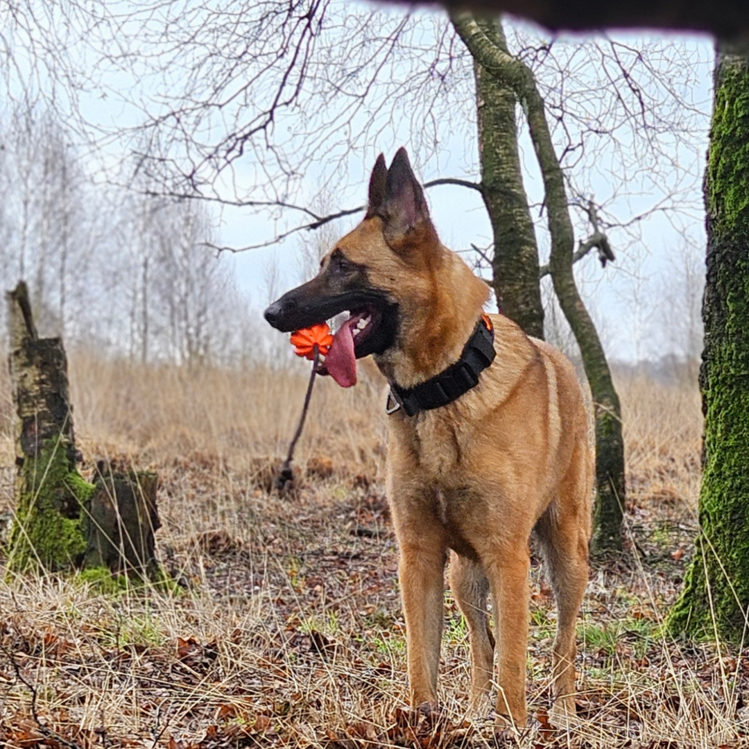 Meteor bal met touw 60mm