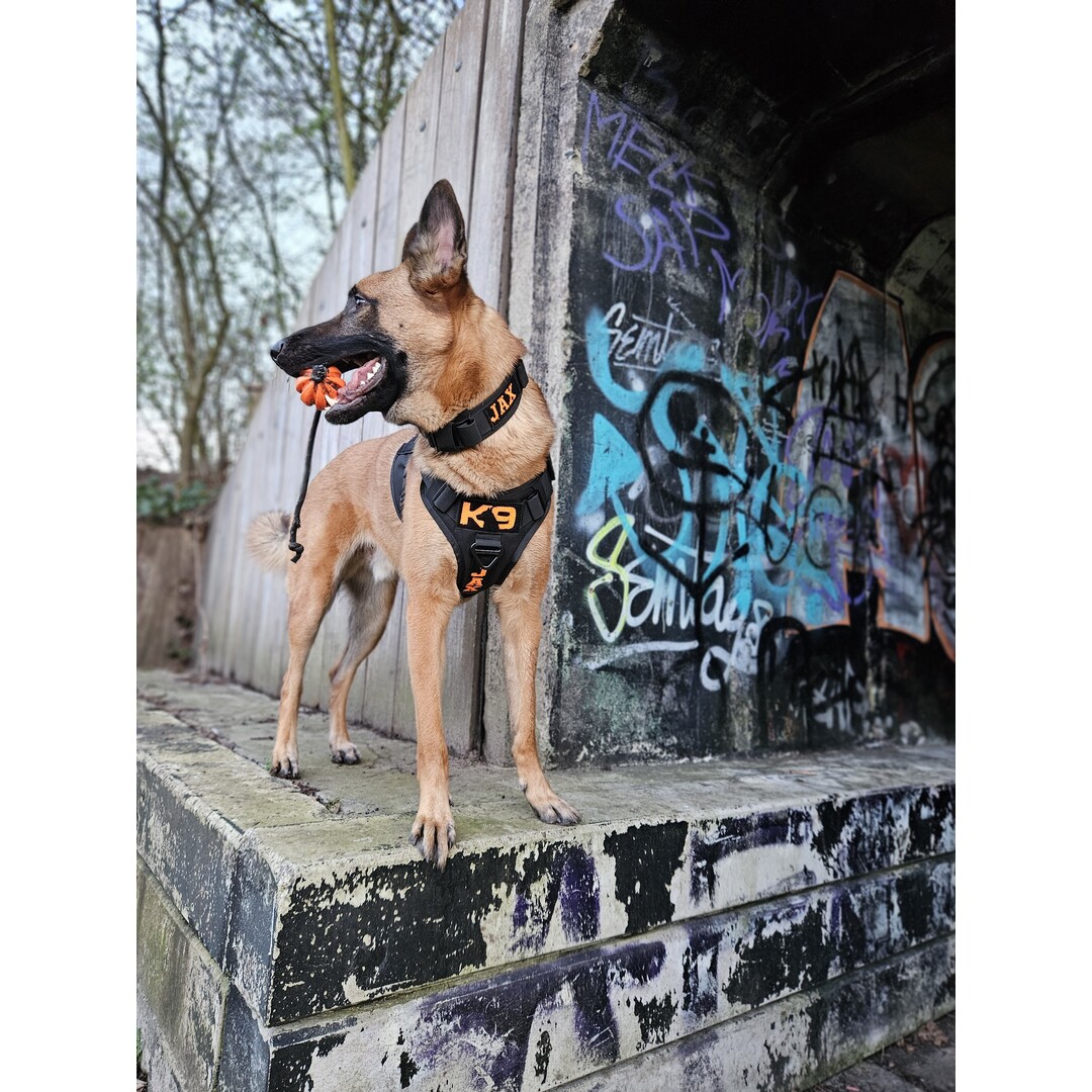 Meteor bal met touw 60mm