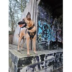 Meteor bal met touw 60mm