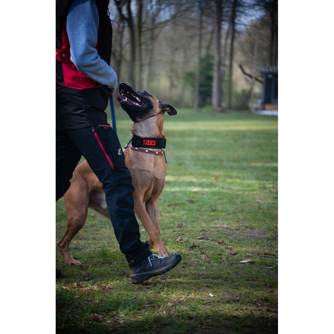 Always Prepared® Halsband IDENT – Professionele halsband met vaste borduring