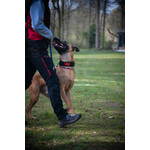 Always Prepared® Collar IDENT – Professional collar with fixed embroidery