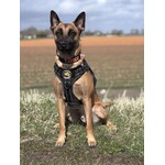 Always Prepared® Collar IDENT – Professional collar with fixed embroidery