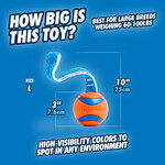 Chuckit! Ultra Tug M & L