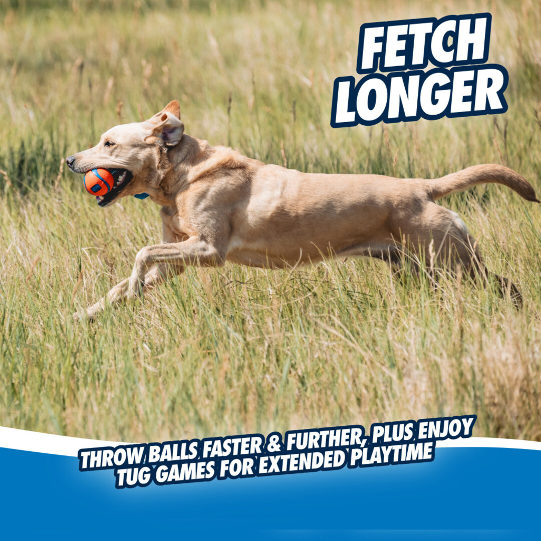 Chuckit! Ultra Tug M & L