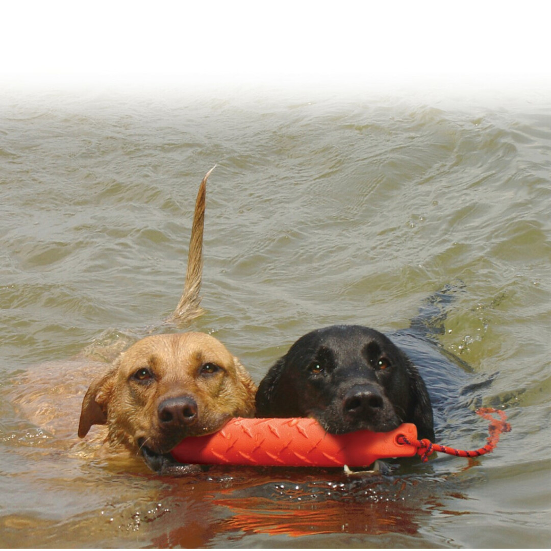 KONG Training Dummy L