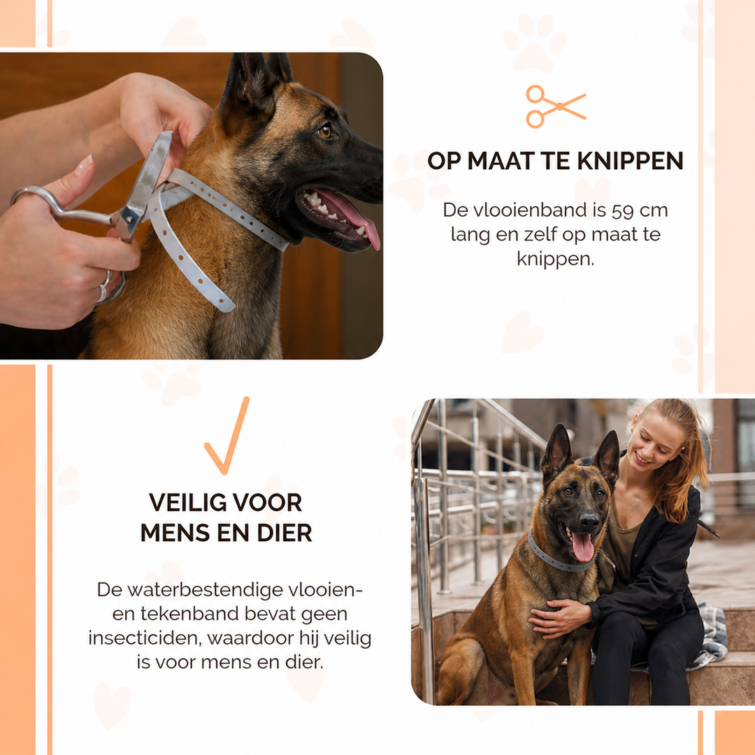 Knock Pest Vlooien/Tekenband