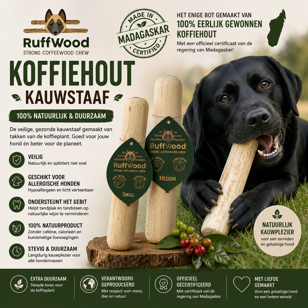 Ruffwood Coffee Bone