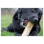 Ruffwood Coffee Bone