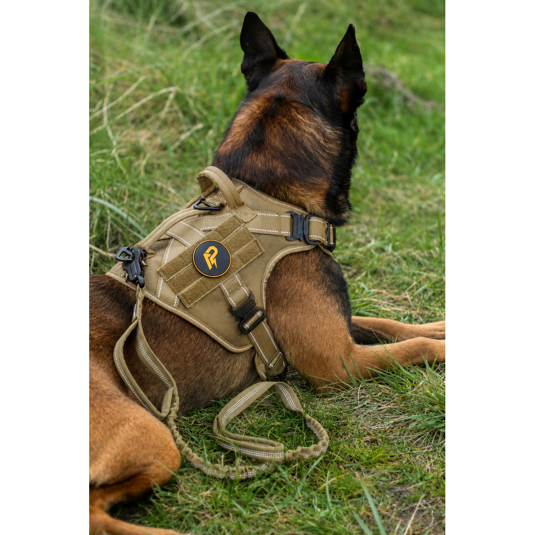 Pro Hondentuig Khaki Reflecterend