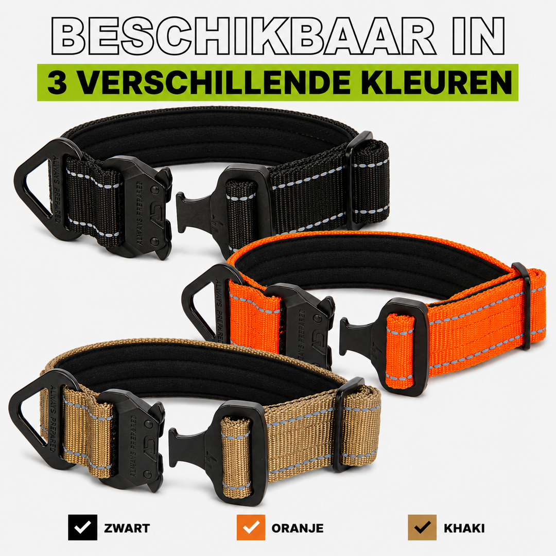 Compact Halsband Oranje Reflecterend