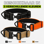 Compact Collar Orange Reflection