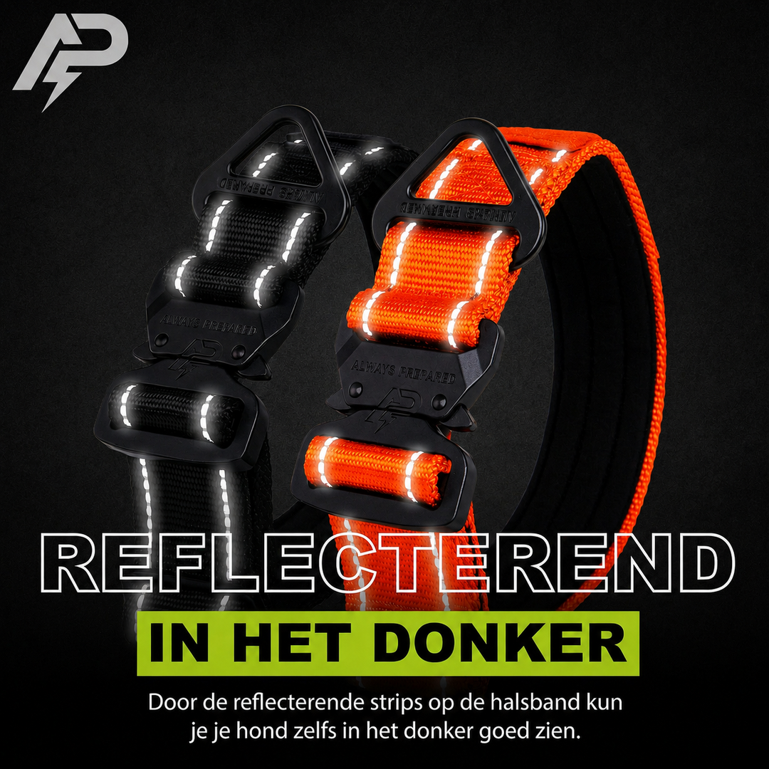 Compact Halsband Oranje Reflecterend