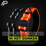 Compact Collar Orange Reflection