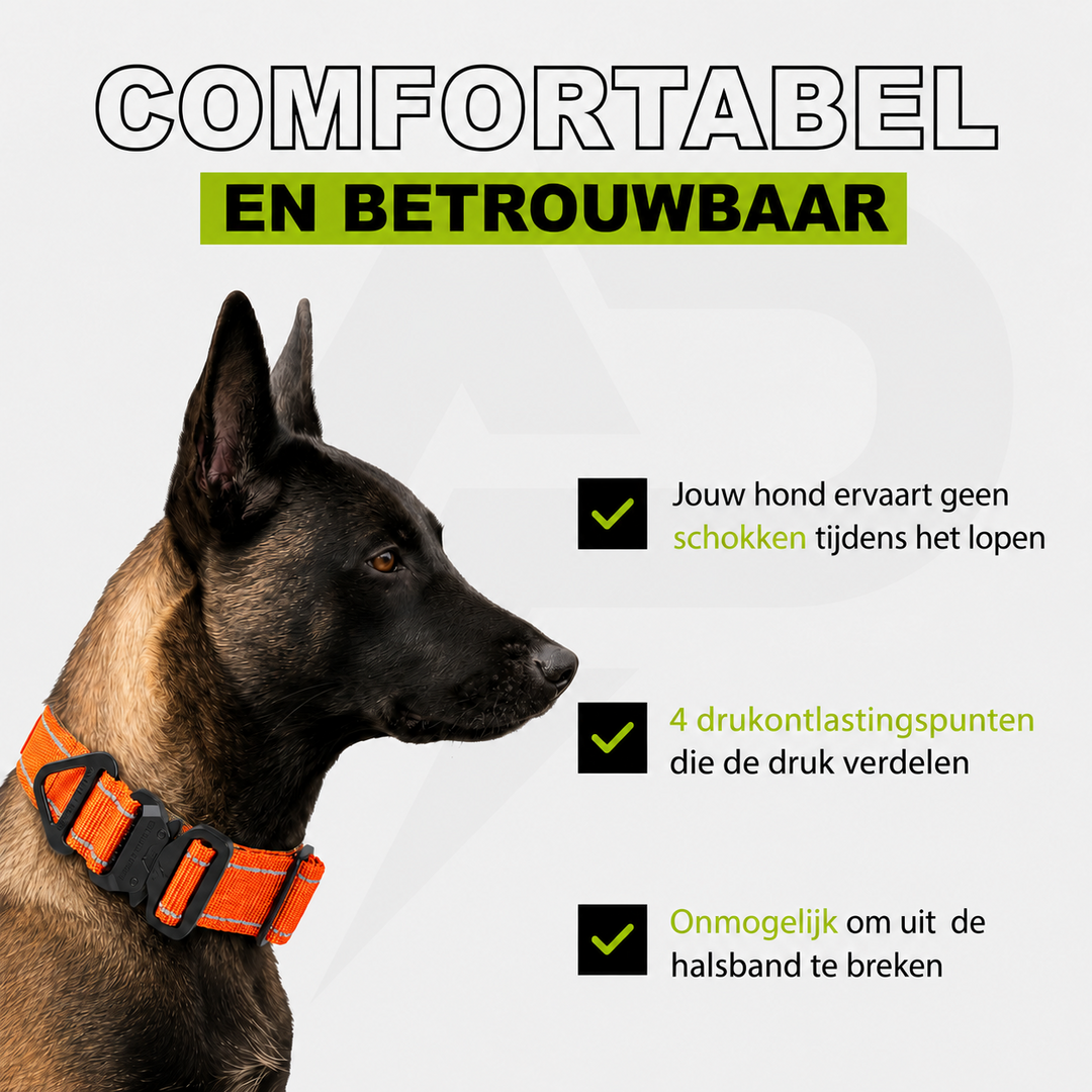 Compact Halsband Oranje Reflecterend