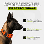 Compact Halsband Oranje Reflecterend