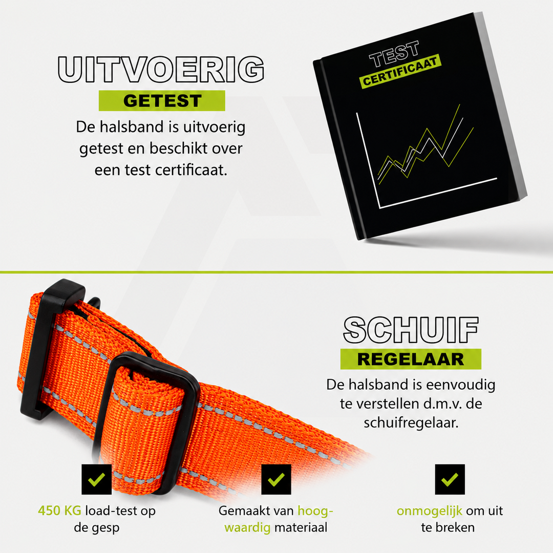 Compact Halsband Oranje Reflecterend