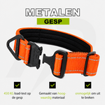 Compact Halsband Oranje Reflecterend