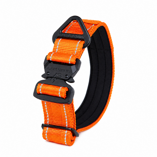 Compact Collar Orange Reflection