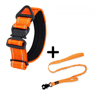 Combi-Deal Compact Collar + Leash Reflection Orange