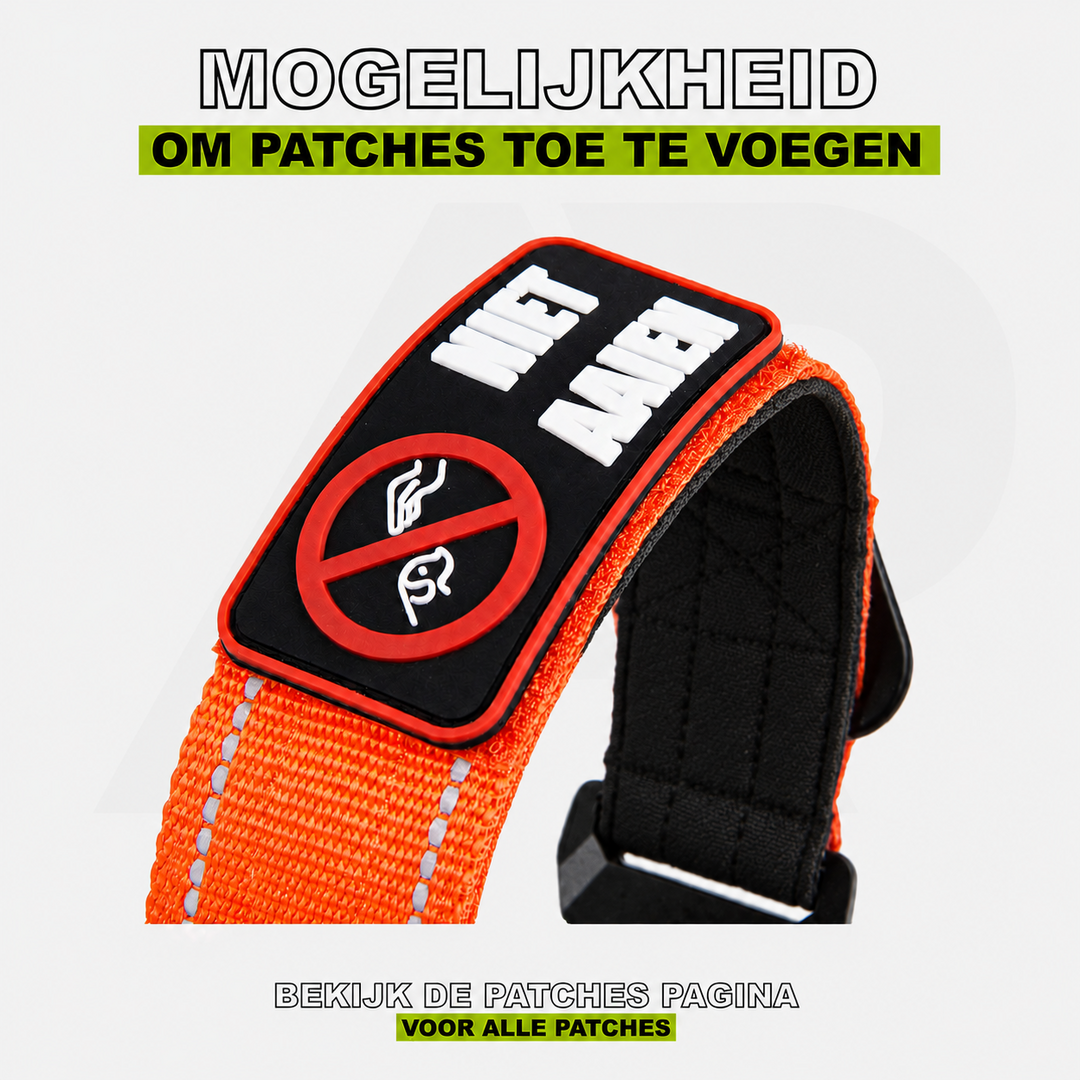 Combi-Deal Compact Halsband + Riem Reflecterend Oranje
