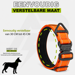 Combi-Deal Compact Collar + Leash Reflection Orange