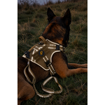Combi-Deal Pro Harness + Short Leash Khaki Reflective