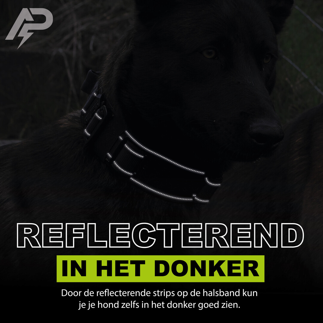 Combi-Deal Pro Collar + Leash Khaki Reflective