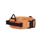 Pro Halsband Orange