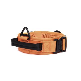 Pro Halsband Orange