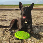 Flyer frisbee