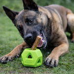 Dog Comets Treat Lock Ball