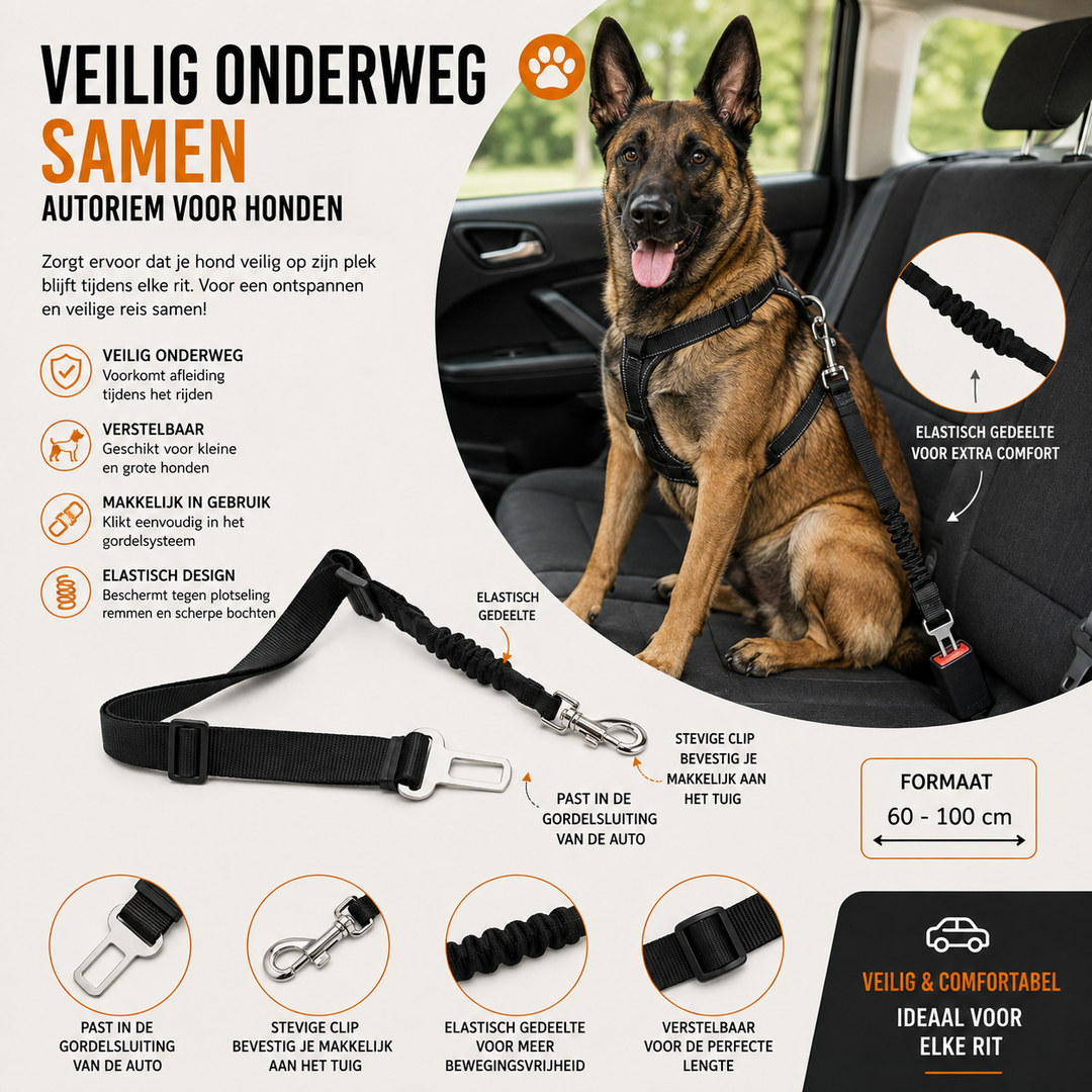 Autogordel Hond | Verstelbare & Elastische Veiligheidsgordel voor in de Auto | 60 tot 100 cm