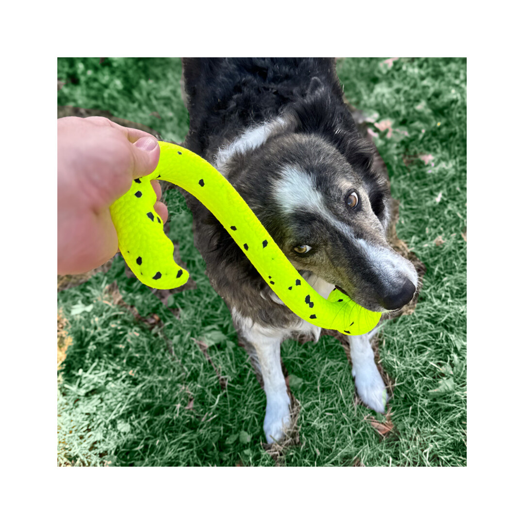 KONG Reflex Tug 'n Fetch