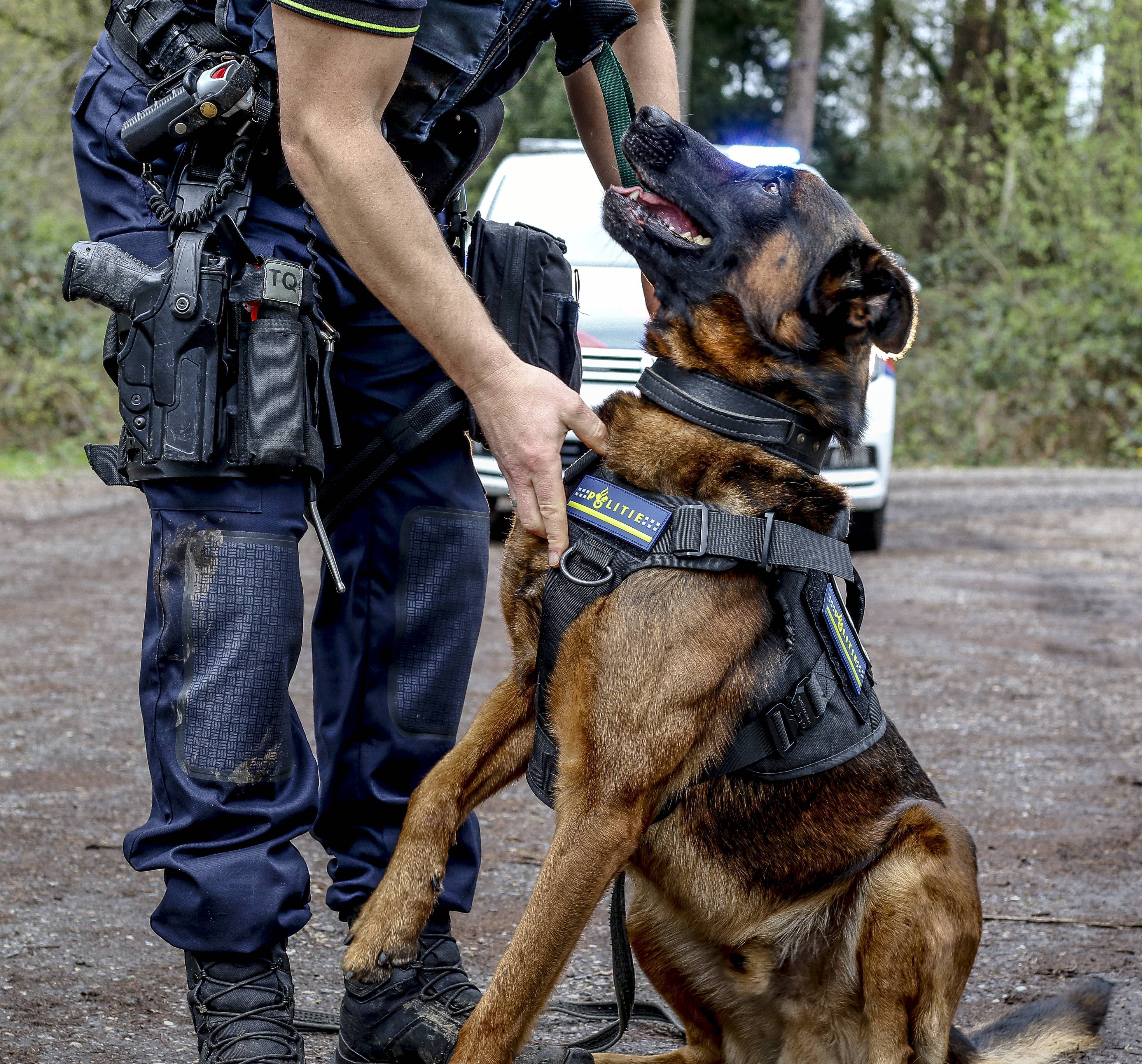 De beste gear voor jouw hond