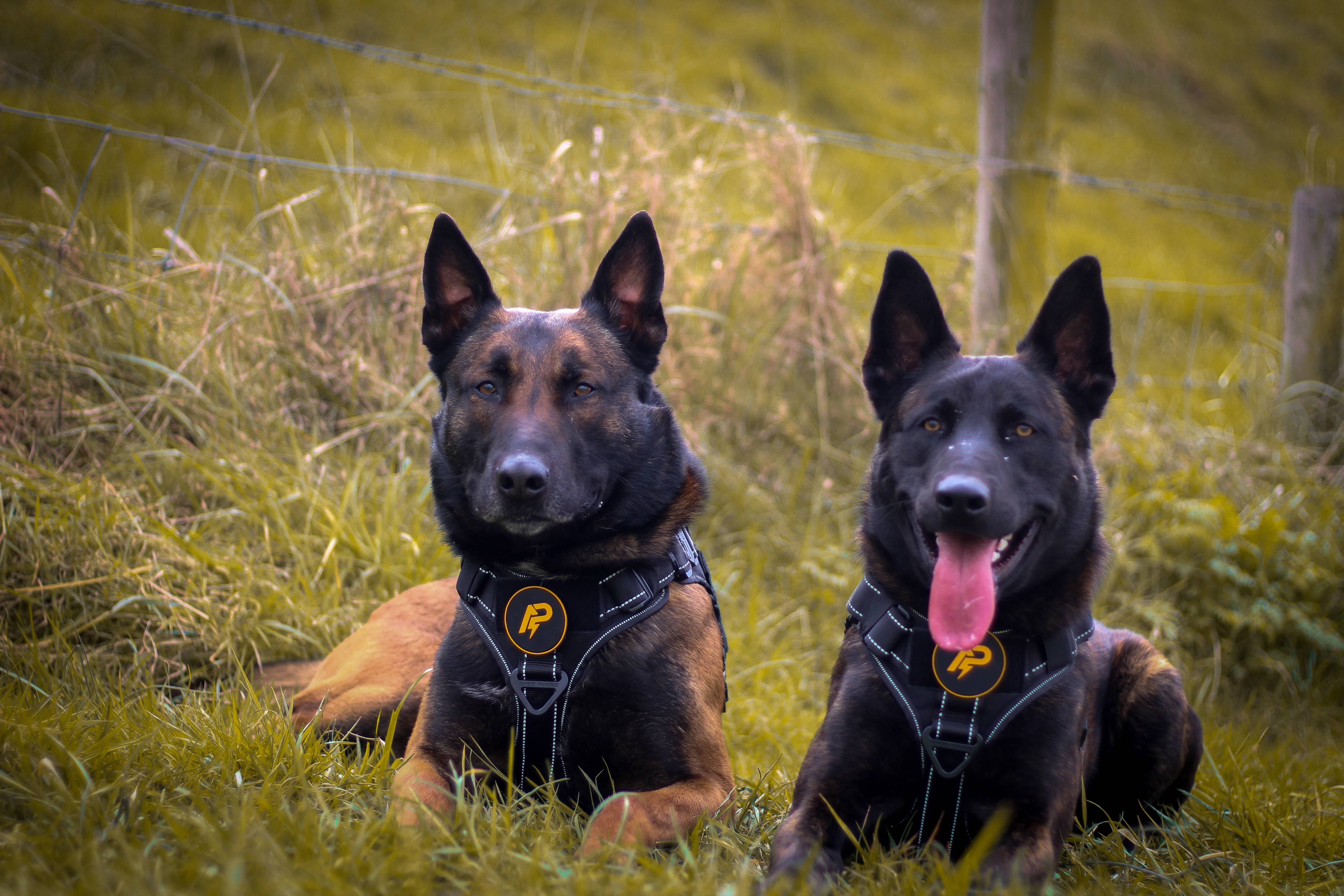 Betrouwbare uitrusting voor elke uitdaging