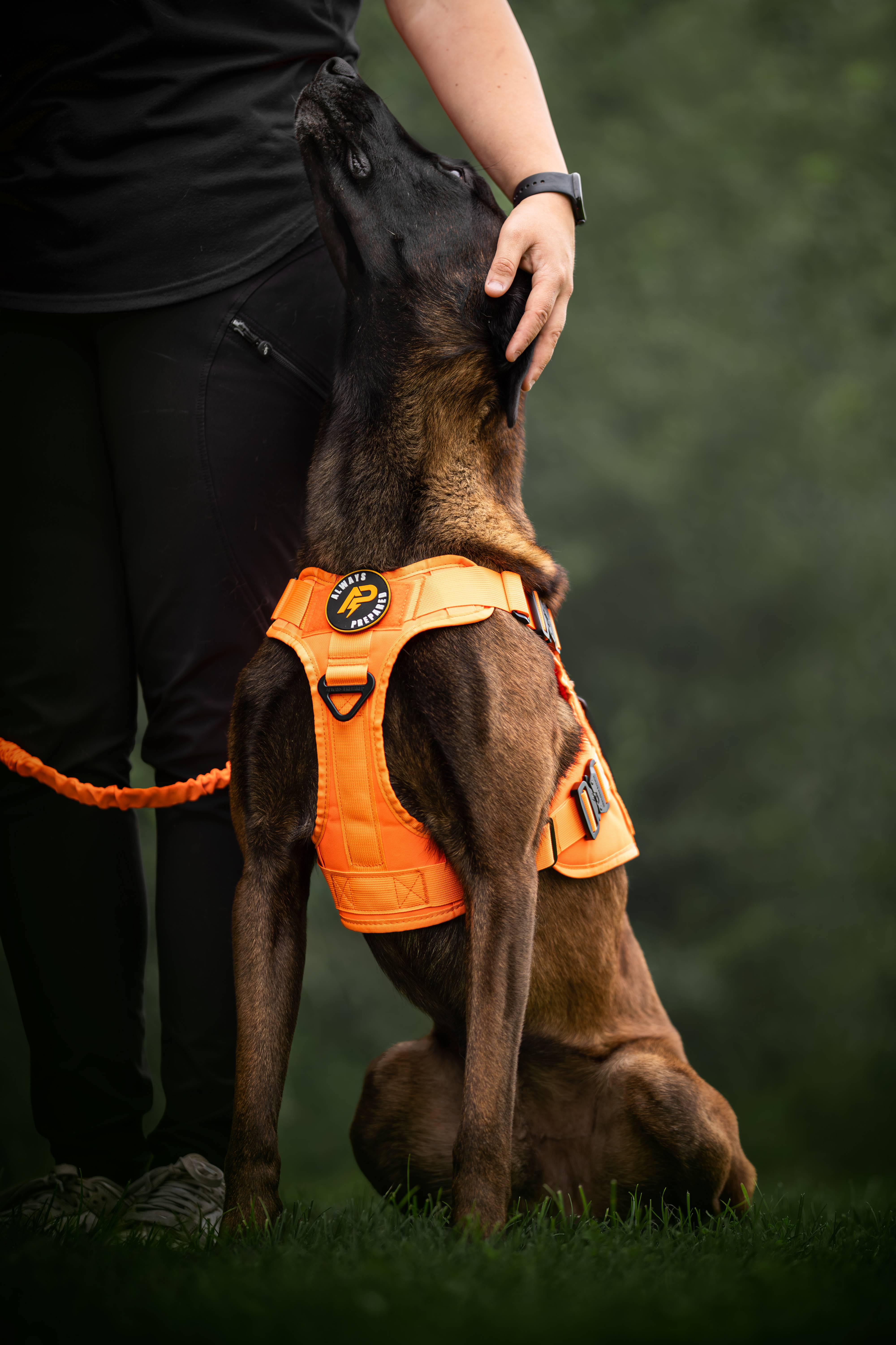 Maximale grip, ultiem comfort - elke wandeling weer