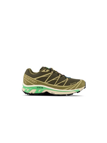 Salomon XT-6 Gore-Tex Olive Night Dried Herb Almond Milk