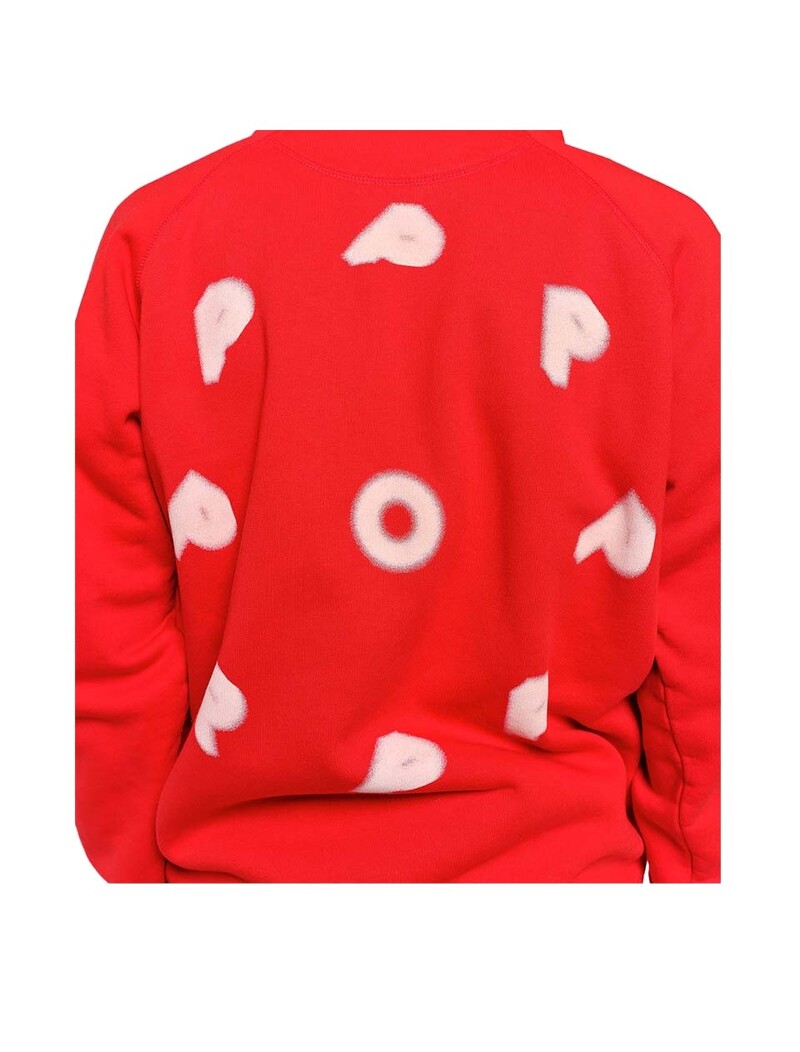 POP Trading Company Blurred Hooded Sweat Goji Berry