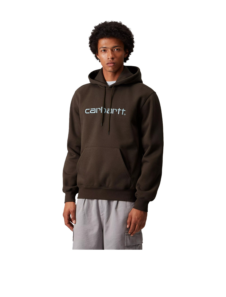 Carhartt WIP Hooded Carhartt Sweat Vitola Citadel