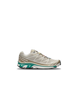 Salomon XT-6 Rainy Day Chinchilla Dynasty Green