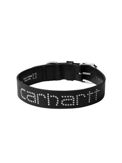 Carhartt WIP Script Studs Dog Collar Black M/L