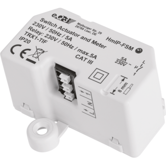 Homematic IP Homematic IP HmIP-FSM