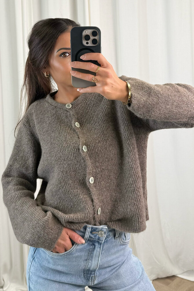 Gebreide Vest Rosie - Taupe