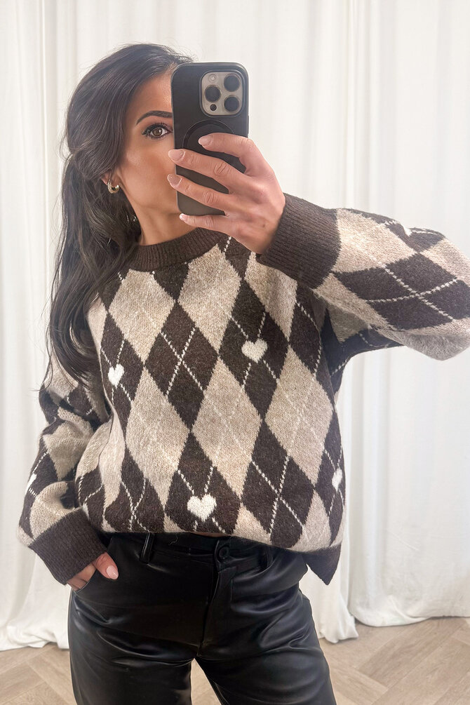 Geruite Trui - Bruin