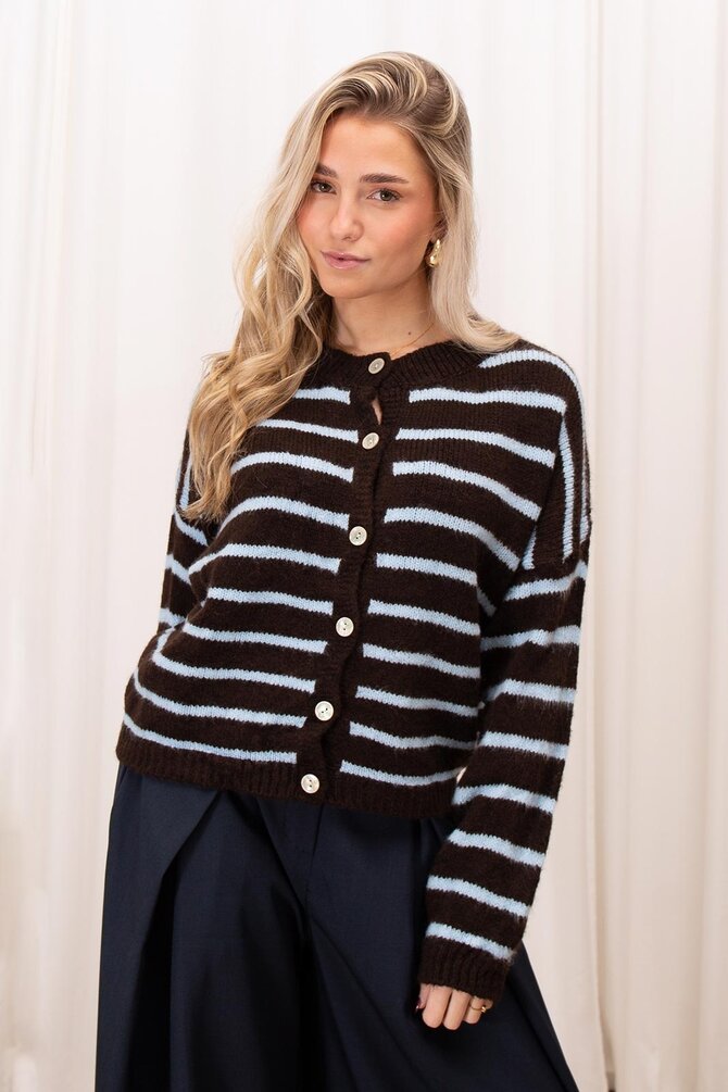 Gestreepte Knopen Vest - Bruin