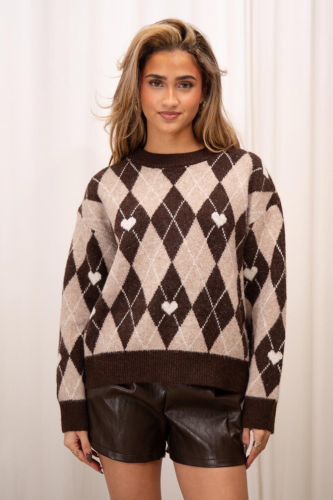 Geruite Trui - Bruin