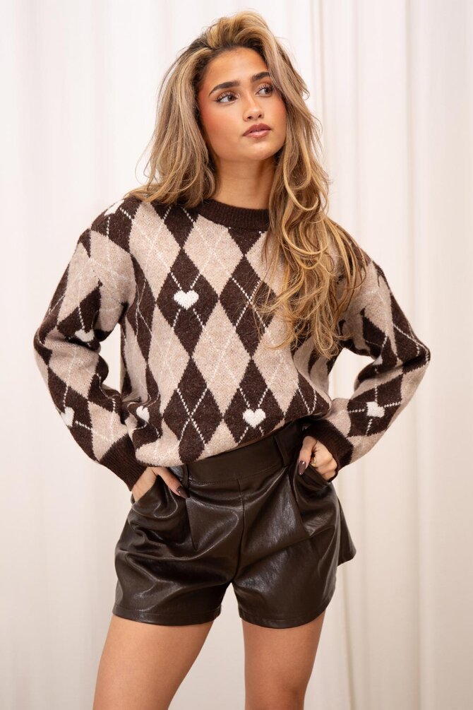 Geruite Trui - Bruin