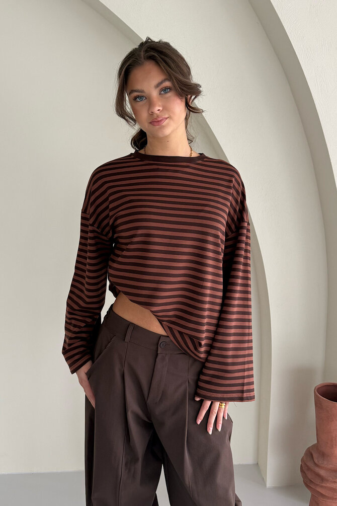 Gestreepte Longsleeve - Bruin